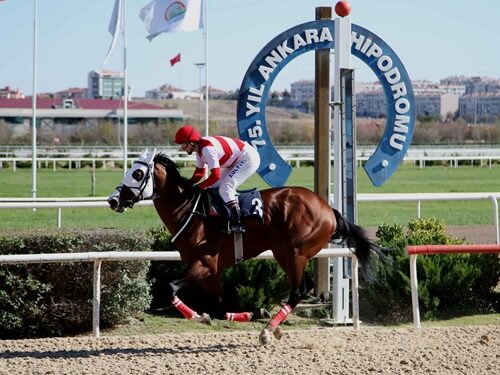 Ankara Hipodromu’nda Cumhurbaşkanlığı Kupası Öncesi Son Düzlük Analizi