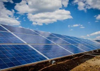 Aydın’da Dijital Dönüşüm: Akıllı Tarım ve Güneş Enerjisi Yatırımları Yükseliyor