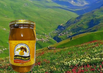 Anzer Balı Şifa Efsanesi: Rize’nin Doğal İksir Sırrı