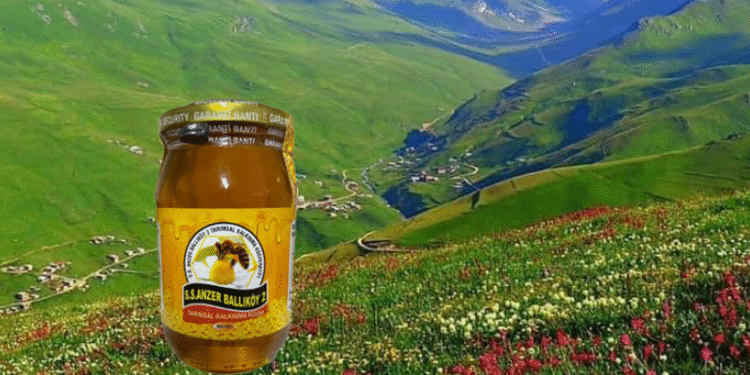 Anzer Balı Şifa Efsanesi: Rize’nin Doğal İksir Sırrı