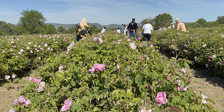 Isparta’da Dijital Dönüşüm: Akıllı Tarım ve Gül Teknolojileri Buluştu