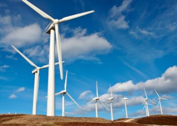 Malatya’da Dijital Dönüşüm: Girişimcilik ve Teknoloji Rüzgarı: Dijital Kayısı Projesi