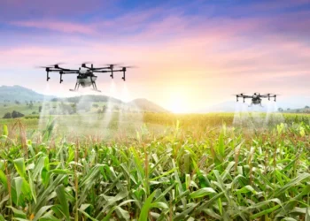 Rize’de Dijital Dönüşüm: Dijital Çay Üretimi ve Sensörlü Tarım Dönemi