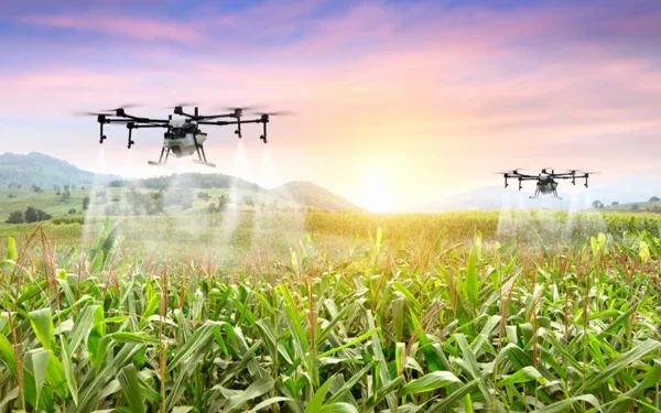 Rize’de Dijital Dönüşüm: Dijital Çay Üretimi ve Sensörlü Tarım Dönemi