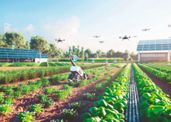 Çankırı’da Dijital Dönüşüm: Dijital Eğitim ve E-Tarım Projeleri Yükselişte