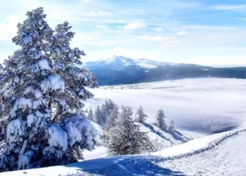 Kars’ta Dijital Dönüşüm: Akıllı Kış Turizmi ve Dijital Sarıkamış Projesi