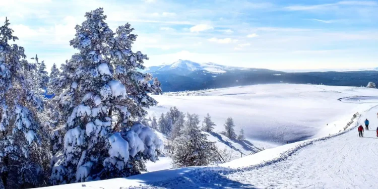 Kars’ta Dijital Dönüşüm: Akıllı Kış Turizmi ve Dijital Sarıkamış Projesi