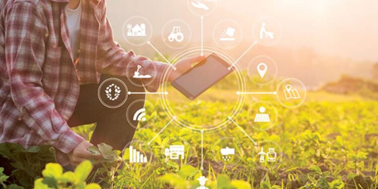 Erzincan’da Dijital Dönüşüm: Dijital Tarım ve Veri Analitiği Uygulamaları Başladı